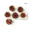 Materiales DIY de Piñas, Segmentos de Madera, Decoraciones Creativas para Hoteles, Ramas Secas, Decoraciones de Frutas, Especímenes Decorativos Suaves, Piñas, Piñones para Casas de Huéspedes