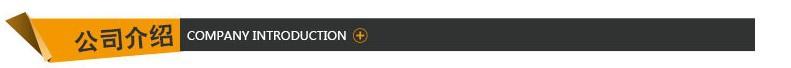 公司介绍