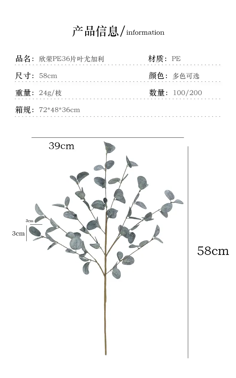 欣荣PE36片叶尤加利_03.jpg