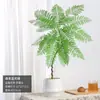 Jacaranda en Maceta Planta Verde de Interior para Oficina Estilo Japonés Sala de Estar Mueble de TV Planta de Piso Fácil de Mantener en Todas las Estaciones