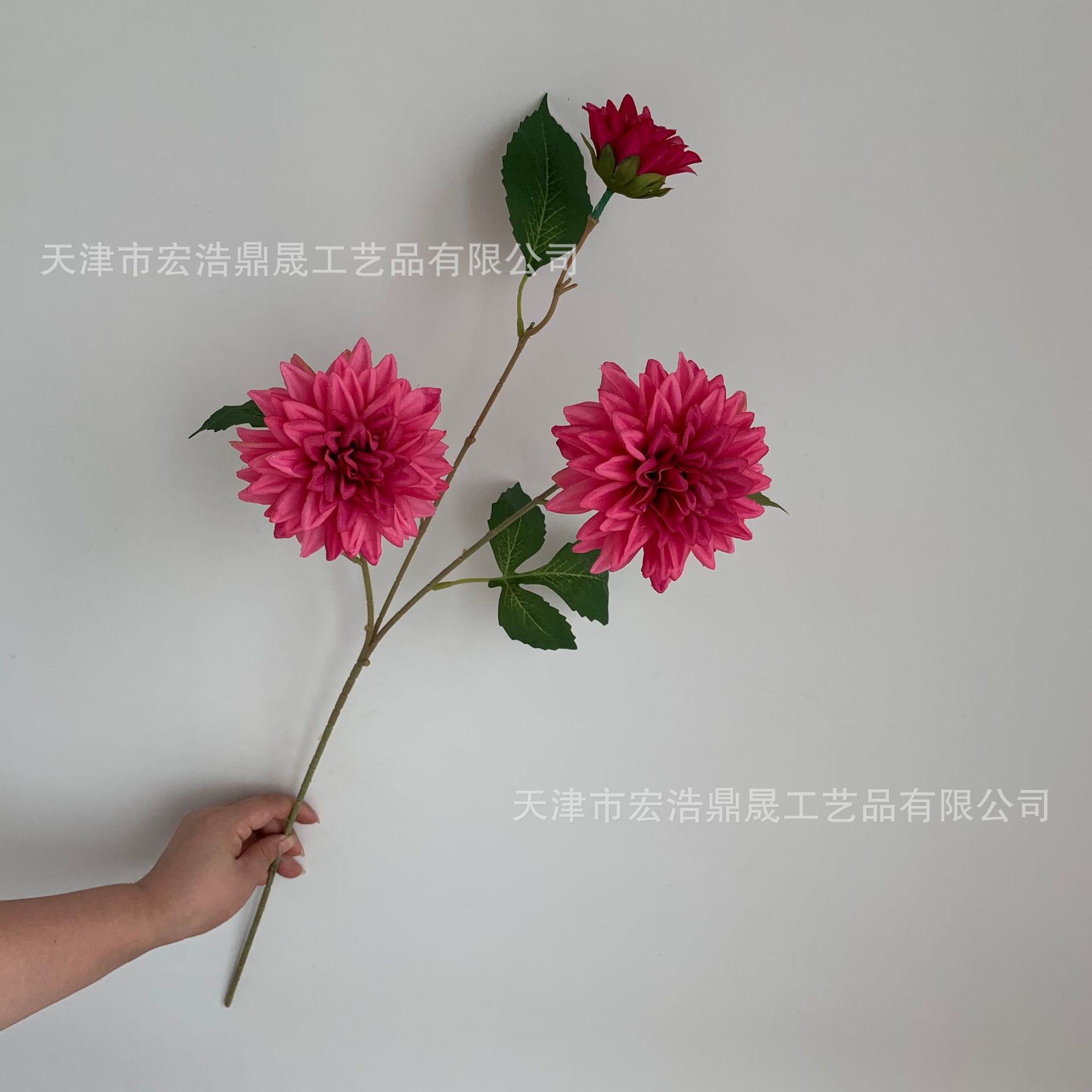 a3556aceaf6dd2012c1f366826802e