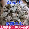 Panax Notoginseng de Wenshan, Yunnan, Venta al por Mayor y Dropshipping de Panax Notoginseng