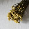 Cor da flor de arroz eterna - flor de arroz absorvente de cor - flor seca - flor de nuvem - buquê de flores secas naturais - fábrica de Yunnan - atacado