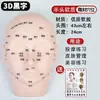Modelo de Cabeza Humana de Silicona Falsa para Práctica de Masaje de Acupuntura Facial, Molde de Cabeza para Lavado Facial y Otros Propósitos