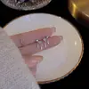 Brincos Novos em Formato de Coração para Mulheres, Design de Luxo Leve de Nicho, Brincos com Franjas em Forma de Gota d'Água, Brincos Simples e Exquisitos em Formato de Coração para o Dia a Dia