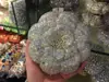 Bolsa de Embreagem Venda Quente Transfronteiriça Bolsa de Flor com Strass Metal Vazado Cristal Bolsa de Noite Exportação Bolsa de Mão Feminina Cravejada de Diamantes