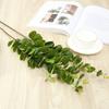 Material para arreglo floral de hoja de eucalipto simulado, hoja de dinero, hogar, boda, decoración interior, planta de simulación, fábrica, venta al por mayor