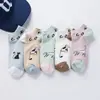 Nuevos calcetines de barco de primavera y verano para mujer, calcetines de algodón, cabeza de gato multicolor de dibujos animados, calcetines de barco para mujer, fabricantes, venta al por mayor