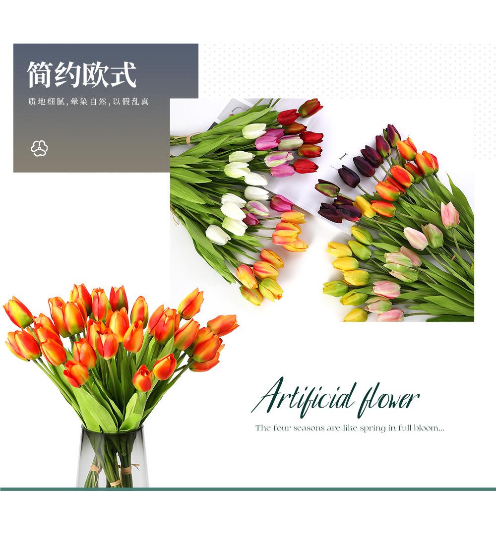 9枝卡西尼-7.31_05.jpg