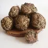 Selaginella Selvagem de Yunnan Medicina Herbal Chinesa 500g Selecionado Natural Sem Enxofre Erva Ressurreição Nove-Mortes Medicina Herbal Chinesa Huan Yang Cao Autêntico