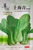 Sementes de Vegetais Shanghai Green Stem, Crocantes e Deliciosos para Uso na Fazenda e no Jardim, com Caules Largos e Baixo Teor de Fibra, Sementes Shanghai Green
