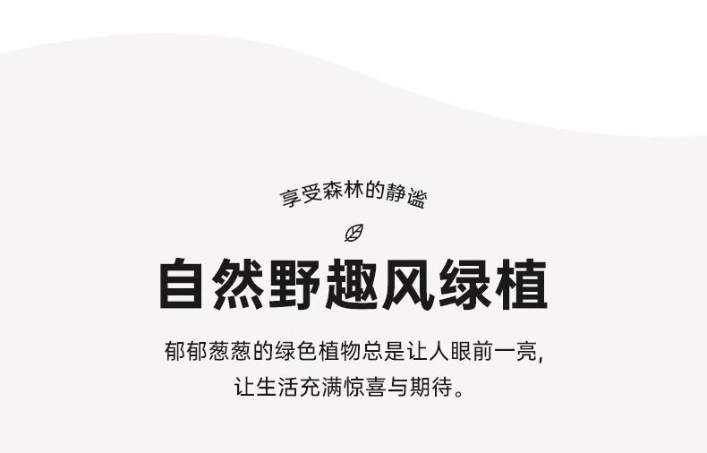 详情图片_14.jpg