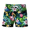 Shorts de Natação Masculino Verão Fornecimento Direto da Fábrica 2024 Comércio Exterior Transfronteiriço Shorts de Praia Quentes