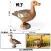 Simulación Cognitiva Infantil Modelo de Fauna Aves Pollo Pato Ganso Huevo de Incubación Cisne Blanco Ala Oscilante Ganso Pato Amarillo Grande