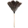 Plumero de Plumas de Avestruz para Eliminación de Polvo Estático, Limpieza del Hogar y del Coche, Herramienta de Limpieza para Polvo en Espacios Pequeños