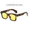 Advanced Sense Box Óculos de Sol Masculinos Europeus e Americanos Hip-Hop Retro Moda Óculos de Condução Cross-Border Óculos de Sol Femininos Anti-UV