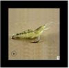 Camarão Camarão Simulação Atacado Camarão Luminoso 4cm Luya Especial Soft Camarão Fake Isca de Peixe Biônico