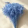 Flor Eterna Grama de Cristal Fabricante Atacado Transfronteiriço DIY Cúpula de Vidro Casamento Materiais Florais Festival Qixi Ins Flores Reais