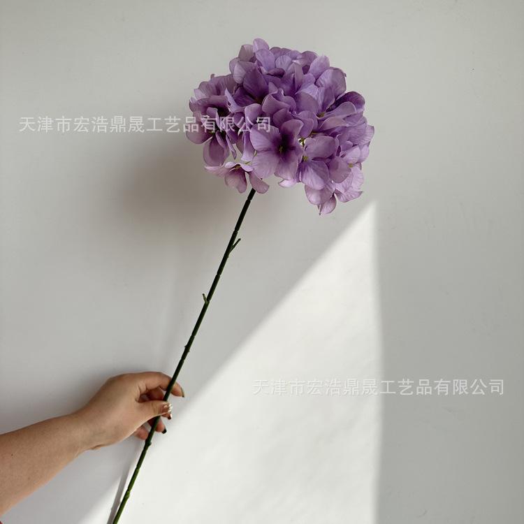 微信图片_202303081754096_副本