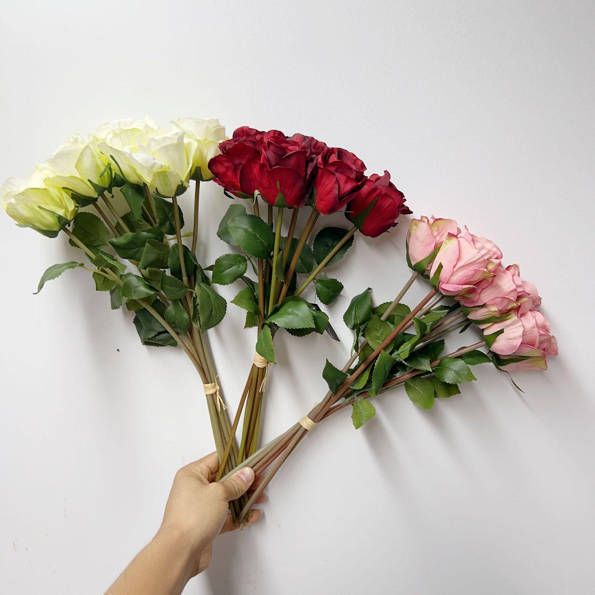 微信图片_20230913114613_1