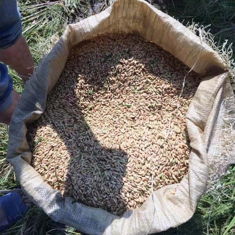 小联合蓝色详情