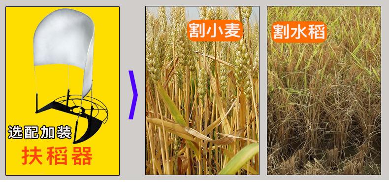 打草机_04.jpg