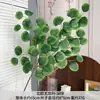 Eucalipto Nórdico Artificial Decoração de Casa Plantas Verdes Estilo Floresta Arranjos de Flores para Casamento Adereços para Fotografia de Plantas Flores Artificiais