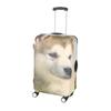 [Salida de Fábrica] Funda Protectora para Maleta Funda Protectora para Maleta de Trolley Funda Elástica para Maleta Funda Antipolvo