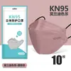 Máscara Kn95 em Cores Morandi, 3D Tridimensional, Alto Apelo Estético, Formato de Boca de Peixe e Folha, Protetora Descartável, Embalada Individualmente, Atacado
