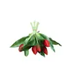 Mini pegamento suave 5 capullos de tulipán PU modelo para el hogar decoración de habitación fotografía fábrica flor de simulación tacto hidratante