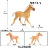 Modelo de Caballo Blanco Simulador Caballo de Pradera Potro Animal Juguete de Plástico Animal Salvaje Regalo Cognitivo para Niños Regalo