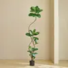 Plantas Verdes Artificiais, Árvore de Borracha Preta de Luxo de Alta Qualidade, Figueira Lira, Árvore Decorativa Artificial de Chão de Alta Qualidade para Sala de Estar Interna