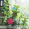 Jardinería tarjeta pequeña inserción arroz multicolor etiqueta T jardinería tablero arreglo floral negro pequeño tarjeta siembra inserción marcador plantación