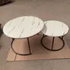 Mesa de Café Minimalista de Lujo Ligero Combinación Redonda Grande y Pequeña Patrón de Mármol Mesa Pequeña Nueva Redonda de Hierro con Almacenamiento Mesa de Café para Suegra