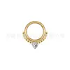 Anillo de nariz de acero inoxidable 316L Europa y Estados Unidos transfronterizo acero de titanio incrustado con diamante de color anillo sin costuras bobina incrustada con circonio de color joya para perforación de nariz