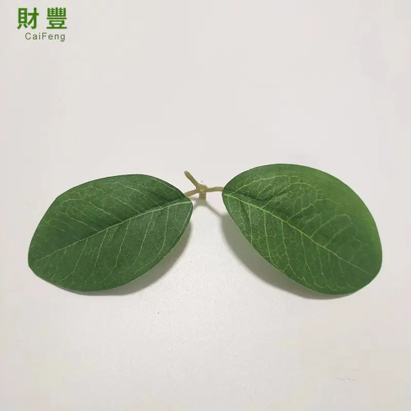 两叉柠檬叶.jpg
