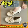 Elegantes y Dulces Zapatos Mary Jane de Seda con Lunares Decorados para Mujer 2026 Estilo Retro Primavera Nuevos Zapatos de Tacón Grueso de Boca Baja