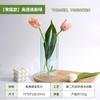 Vaso de acrílico simples decorativo transparente para flores dispositivo arranjo de flores hidropônico mesa de jantar sala de estar mini decoração ins atacado