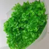 Flor preservada de celebridad de internet, tallo único, al por mayor, madera de Anna, hortensia, material DIY hecho a mano, flor seca, regalo para novia, flor real