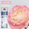 Spray de flores color floral azul hielo ramo flor seca tinte floristería especial color para pintar uno mismo material spray BD