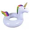 Anillo de Natación de Unicornio Multiestilo al por Mayor Caballo Princesa Arcoíris Dinosaurio Diseño Creativo Anillo de Natación Infantil Parque Acuático