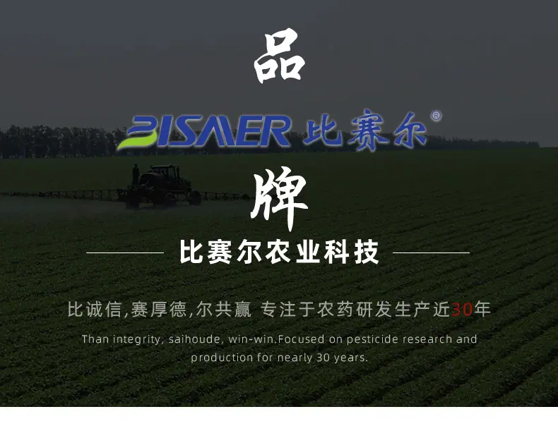 详情页_01.jpg