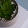 Fábrica de Chaozhou Marca Personalizada Flor Falsa Mini Planta Pequeña Maceta Redonda Recta Estilo Nórdico Decoración de Sala de Estar