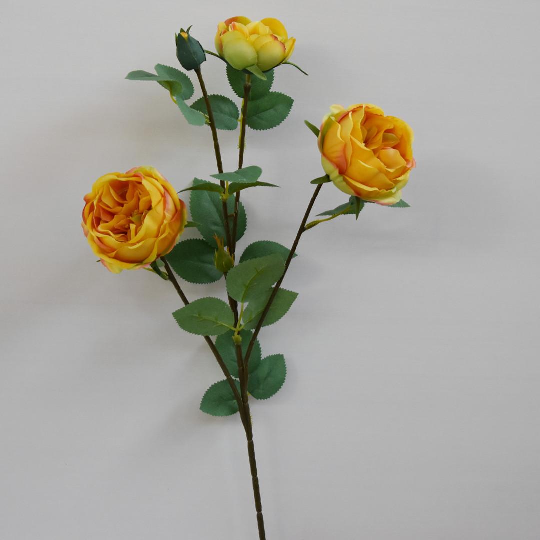 奥斯丁玫瑰黄色