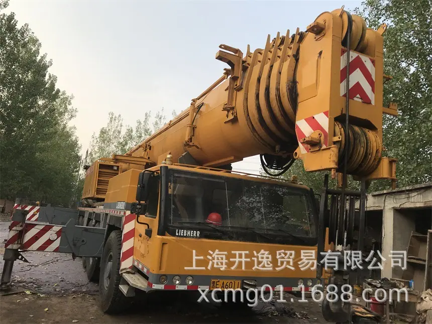 300t crane (17)
