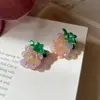 Presilha de Cabelo Divertida de Frutas de Verão 2025 Nova Clip Pequeno de Acetato de Alta Qualidade Presilha Lateral para Franja Grampo Acessórios de Cabelo