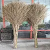 Palo de Bambú Escoba Grande Escoba Antigua de Bambú Palo Extendido Escoba Grande de Bambú para Barrer Calles Saneamiento de Fábrica