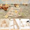 Hábitat de gallinero de madera transfronterizo, casa de campo, estante de almacenamiento para pollos, patos, gansos, estante grande para gallos de pie, plataforma para pájaros, juguete de entrenamiento