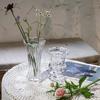Vaso de Vidro Criativo Simples Estilo Ins Nórdico com Captação de Água Transparente Vaso Celebridade da Internet para Sala de Estar Decoração de Flores Secas Enfeites