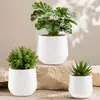 Rotulagem e entrega transfronteiriça de vasos de flores de mesa pequenos, vasos de flores de plástico cerâmico com imitação da superfície da lua criativos, vasos de flores artificiais